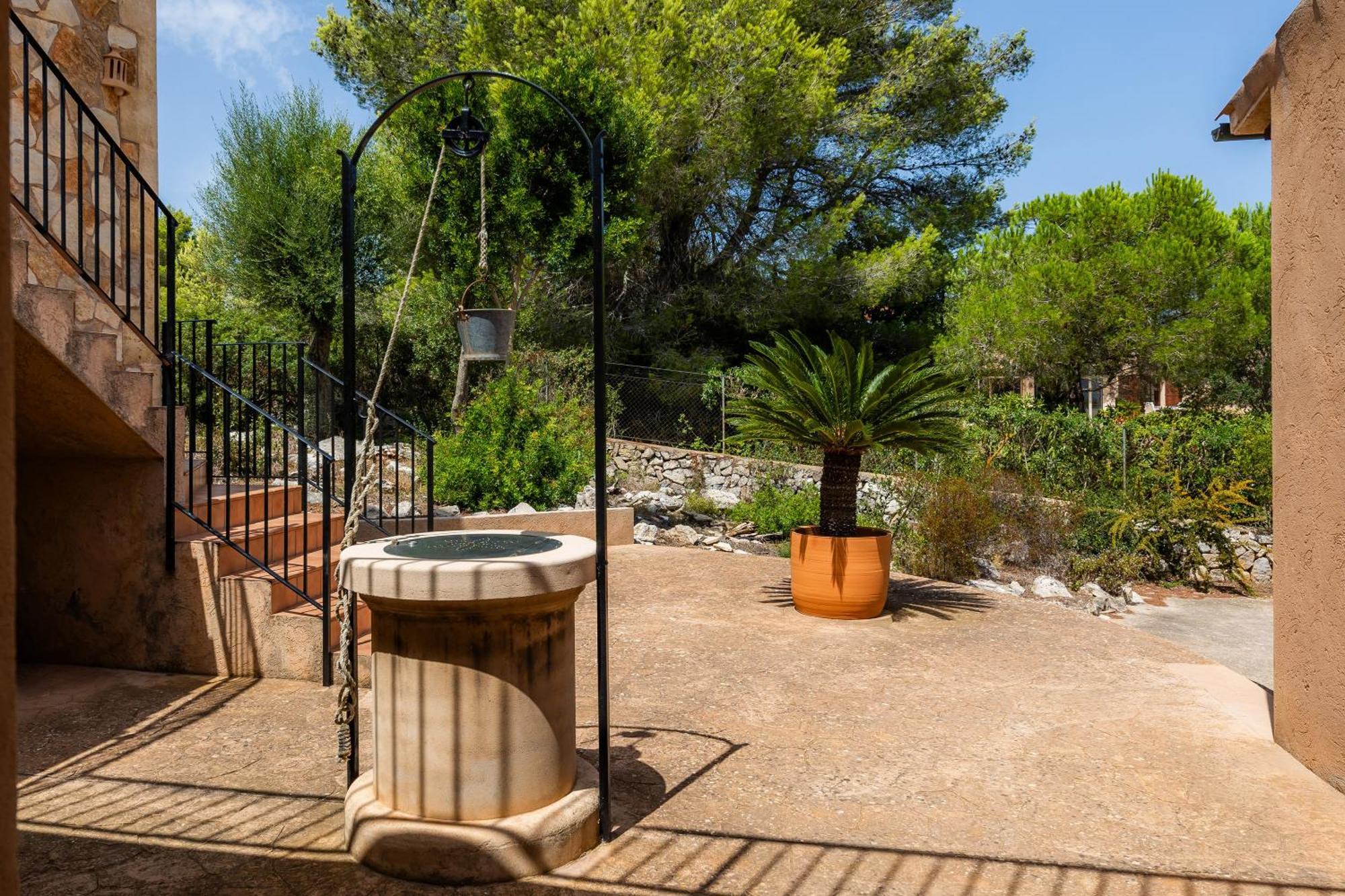 Felipe * Son Servera (Mallorca)